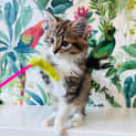 Photo of Lenny Located In Preston