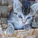 Photo of Tabitha