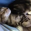 Photo of Tabitha