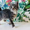 Photo of Miguel Located In Preston