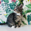 Photo of Miguel Located In Preston