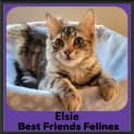 Photo of Elsie