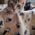 Photo of Elsie