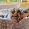 Photo of Elsie