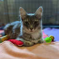 Photo of Grace Located In Preston