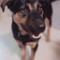 Photo of Leroy