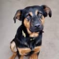 Photo of Leroy