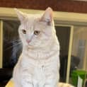 Photo of Suko