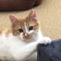 Photo of Matilda