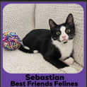 Photo of Sebastian