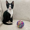 Photo of Sebastian