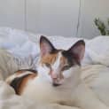 Photo of Farrah 