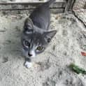 Photo of Cleo
