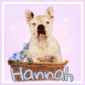 Photo of Hannah