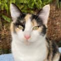 Photo of Lexi   Located In Brunswick East