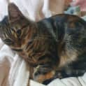Photo of Claire Bear