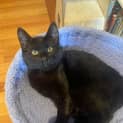 Photo of Murphy