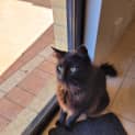 Photo of Batman