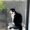 Photo of Grogu