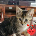 Photo of Darla