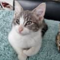 Photo of Spanky
