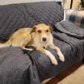 Photo of Zara (Now Maggie)