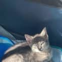 Photo of Stormy