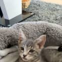 Photo of Stormy