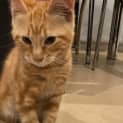 Photo of Ed