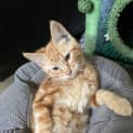 Photo of Ed