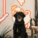 Photo of Cleo