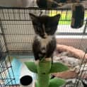 Photo of Penelope