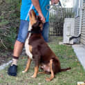 Photo of Phoenix