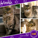 Photo of Winnie