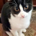 Photo of Vivian