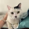 Photo of Buttons