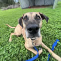 Photo of Kally