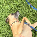 Photo of Kally