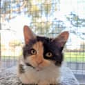 Photo of Alessandra Located In Brunswick East