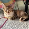 Photo of Whinny
