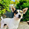 Photo of Connie