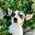 Photo of Connie