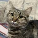 Photo of Jellybean