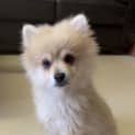 Photo of Luka