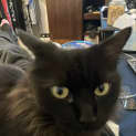 Photo of Missy