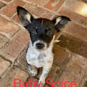 Photo of Baby Spice