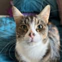 Photo of Jasmine