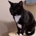 Photo of Luna