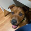 Photo of Lilly