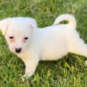 Photo of Cloud